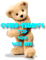 Cyber-Teddy Top 500 Award