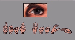 DEAF WATCH FLAG