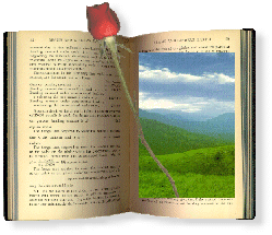 Book Rose Meadows